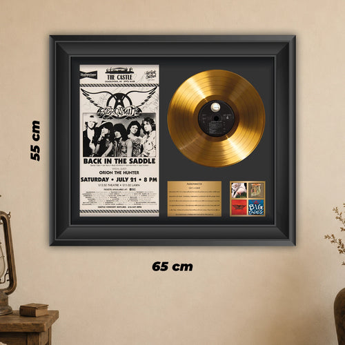 Aerosmith Get a Grip Gold Record Framed Wall Art Rock Memorabilia