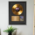 Pink Floyd A Momentary Lapse of Reason Gold Record Framed Wall Art