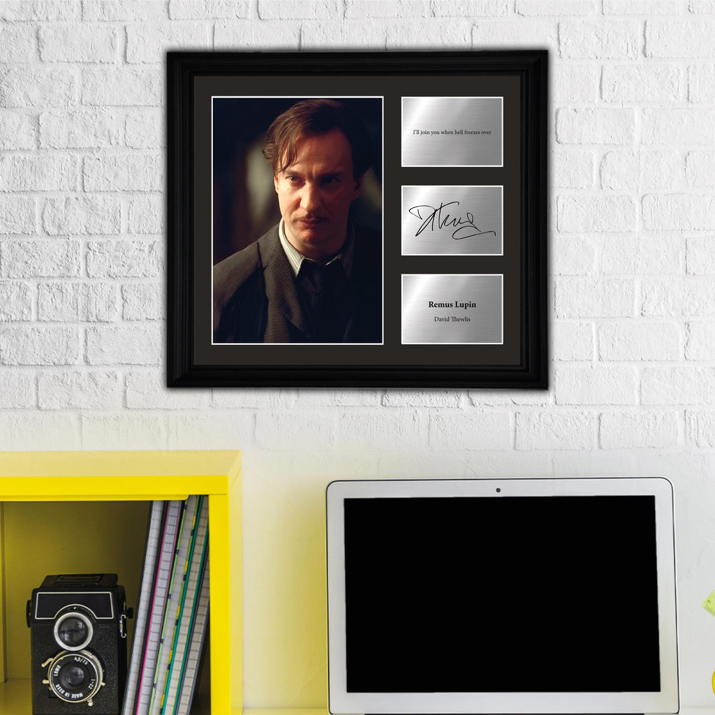 Remus Lupin - David Thewlis - Framed Movie Character Print with Copy Signed
