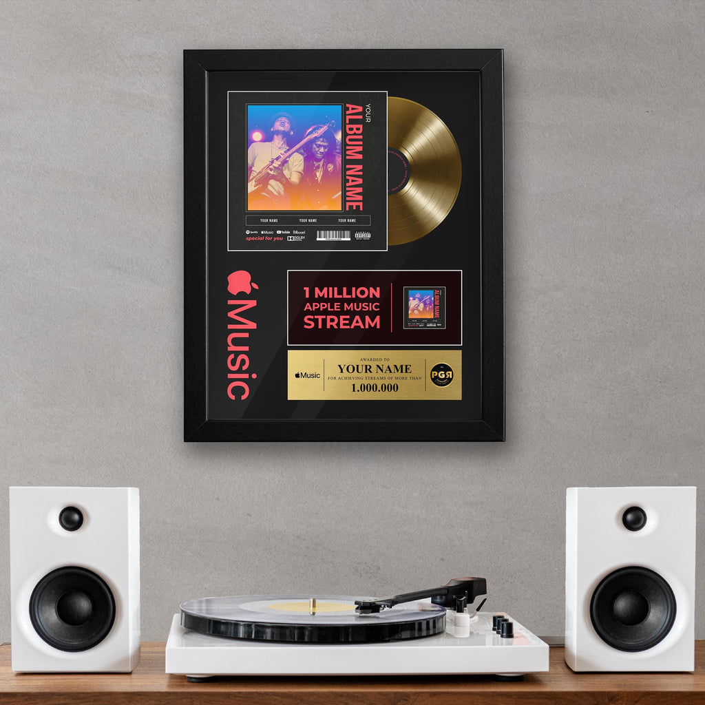 Framed Custom Album Cover & Vinyl Record Display