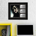 Bellatrix Lestrange - Helena Bonham Carter - Framed Movie Character Print
