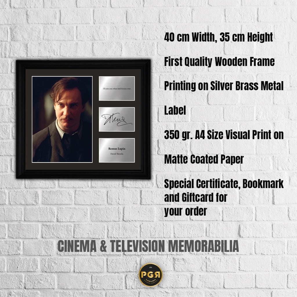 Remus Lupin - David Thewlis - Framed Movie Character Print with Copy Signed
