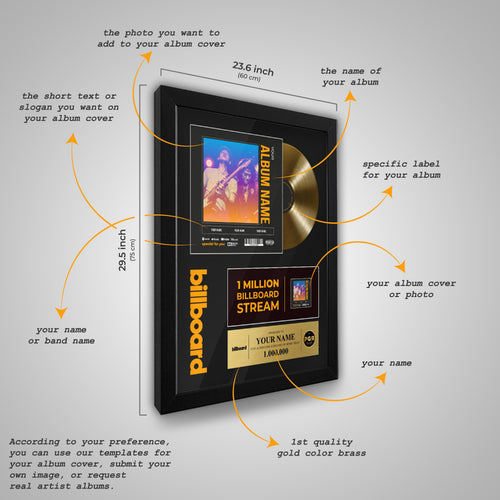 Billboard Framed Custom Album Cover & Vinyl Record Display