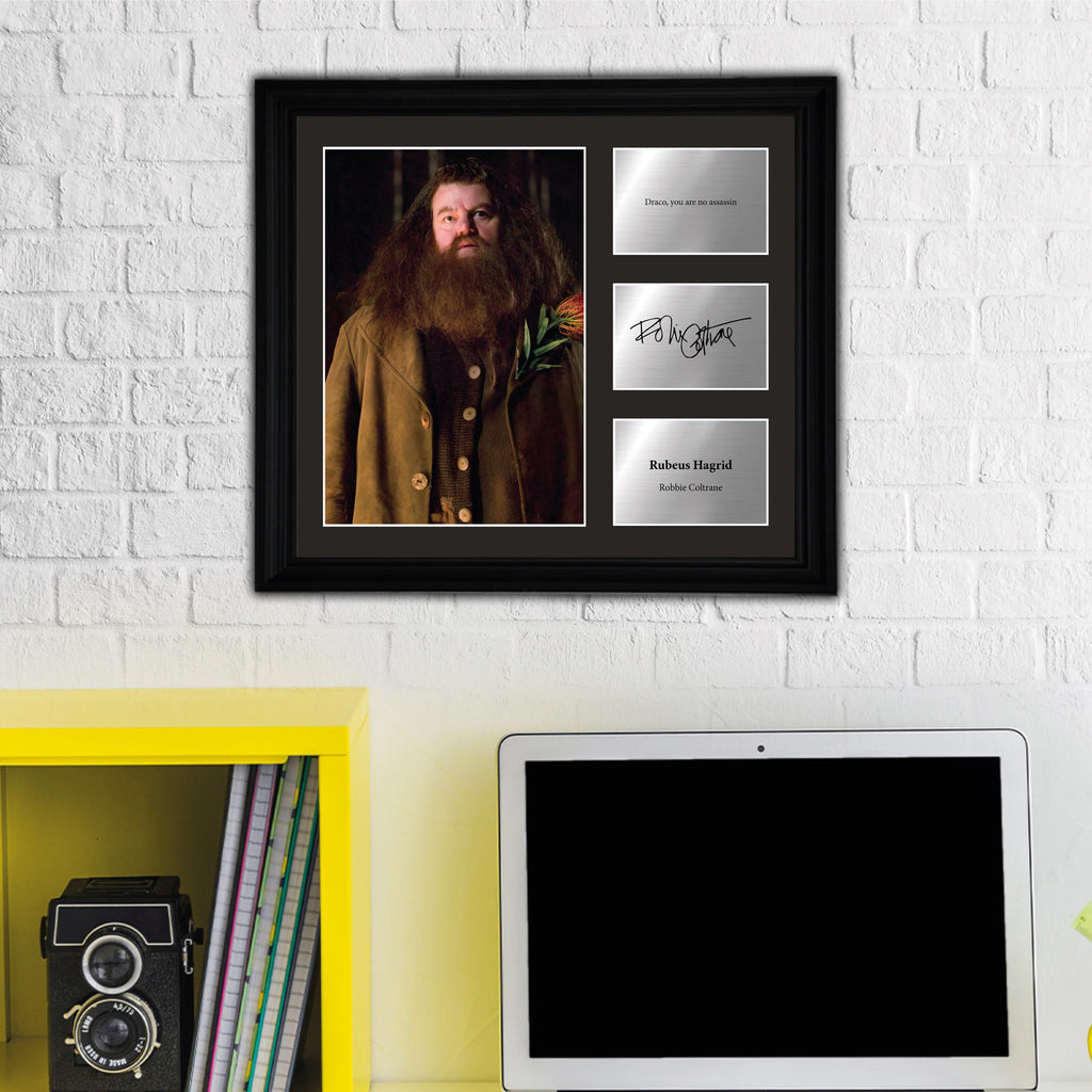 Rubeus Hagrid - Robbie Coltrane - Framed Movie Character Print with Copy Signed