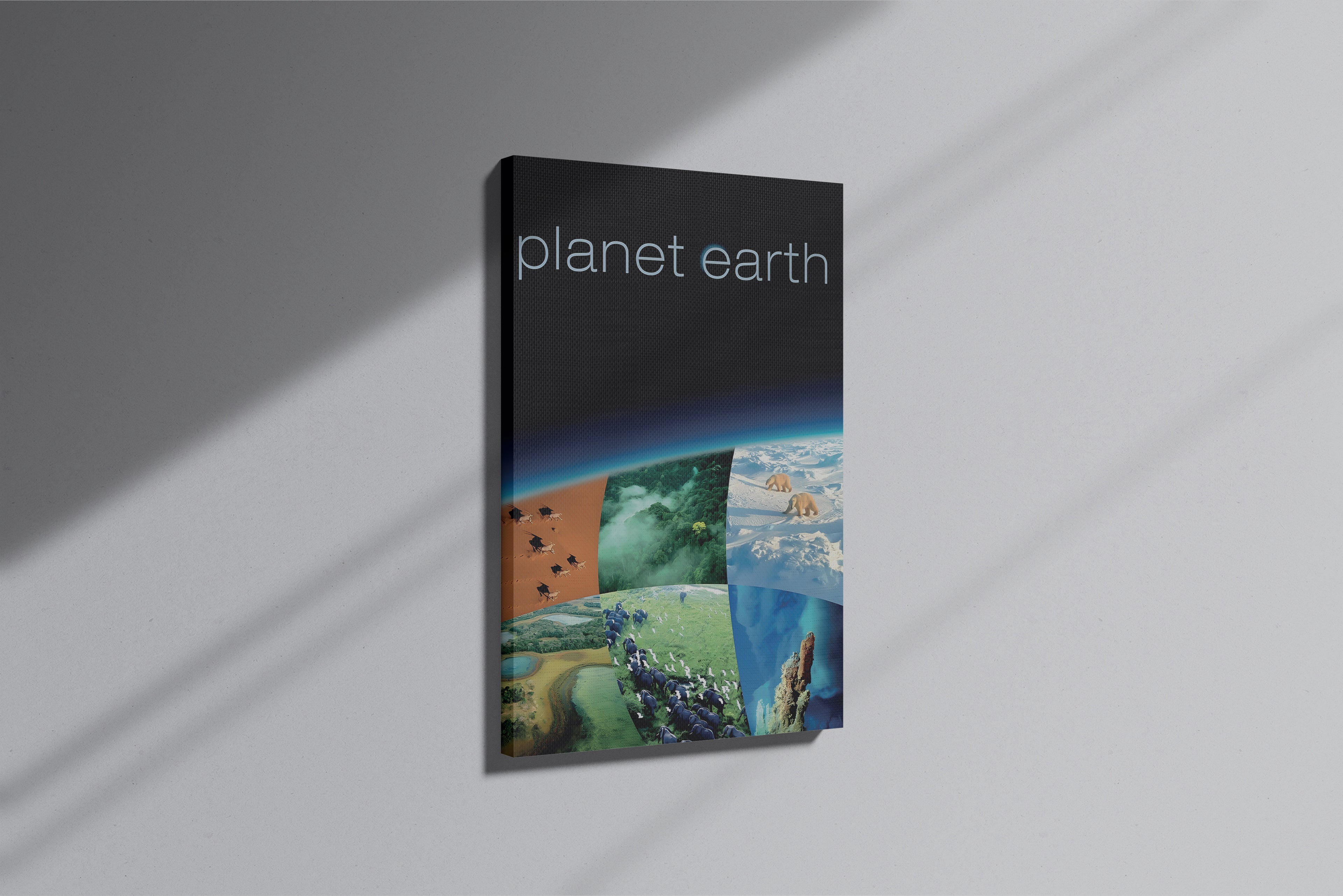 GeekCultcha Planet Earth Documentary Premium Canvas Print