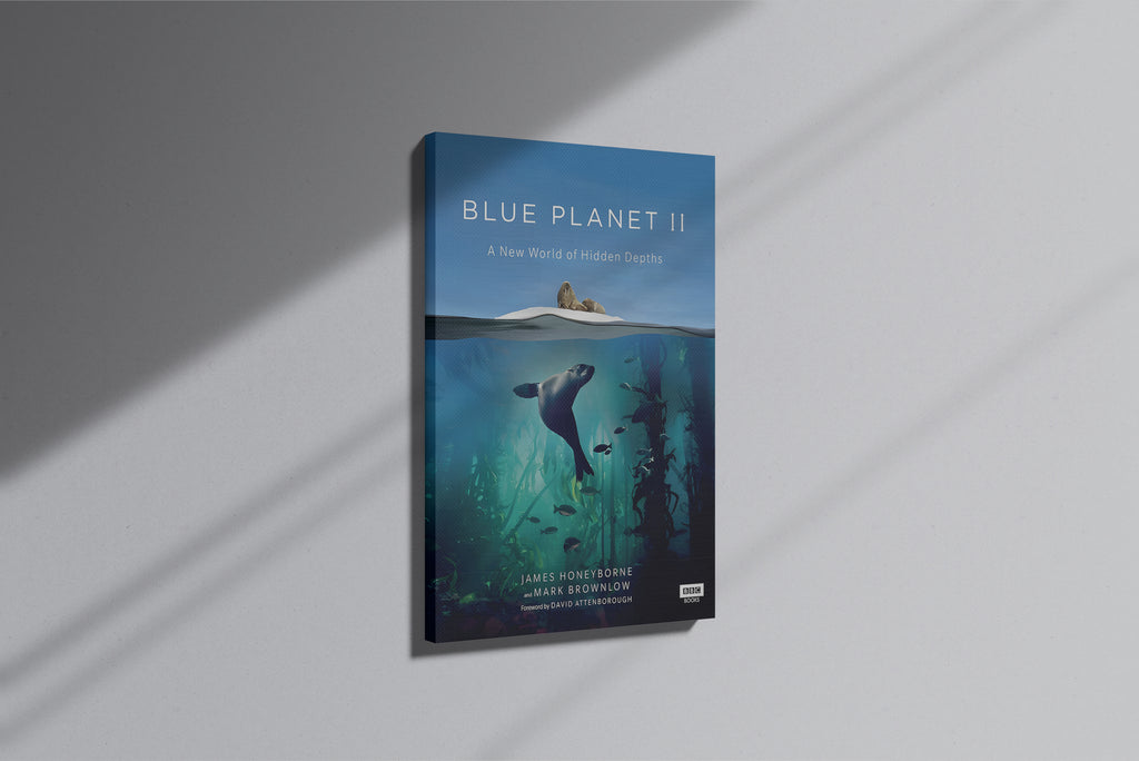 GeekCultcha Blue Planet II Canvas Painting, Sea Theme
