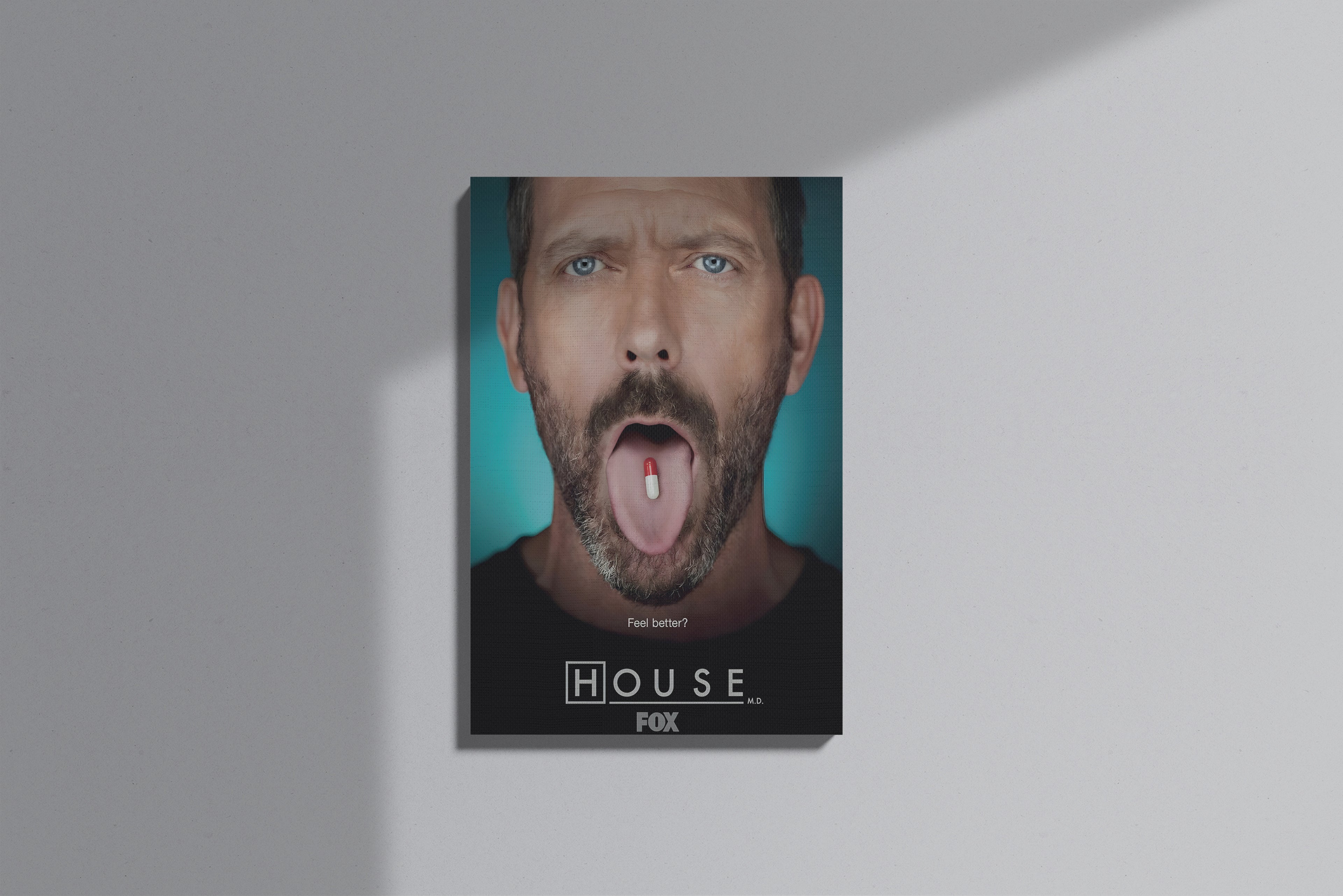 GeekCultcha House M.D. Canvas Painting Expressive Design
