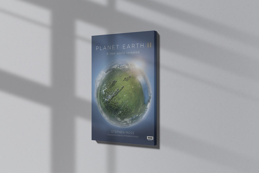 GeekCultcha Planet Earth II Premium Canvas Print