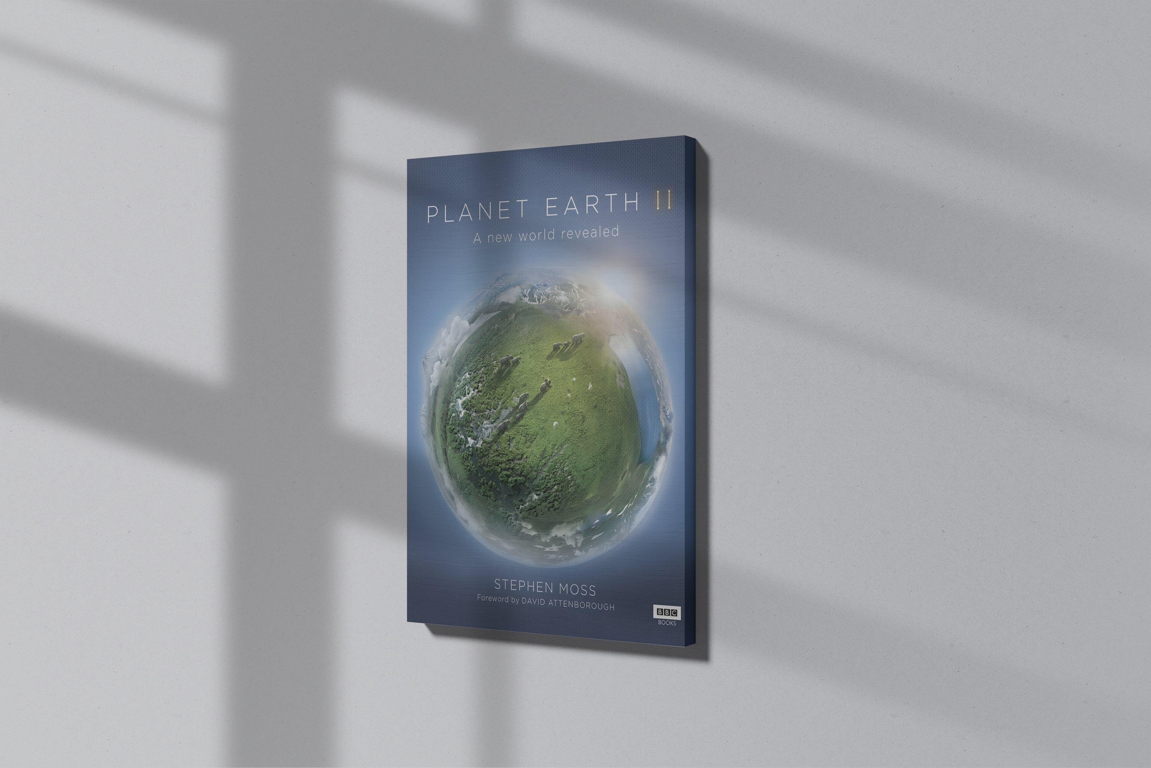 GeekCultcha Planet Earth II Premium Canvas Print