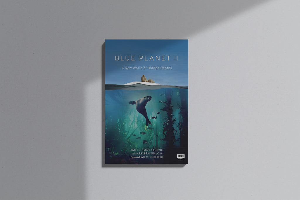 GeekCultcha Blue Planet II Canvas Painting, Sea Theme