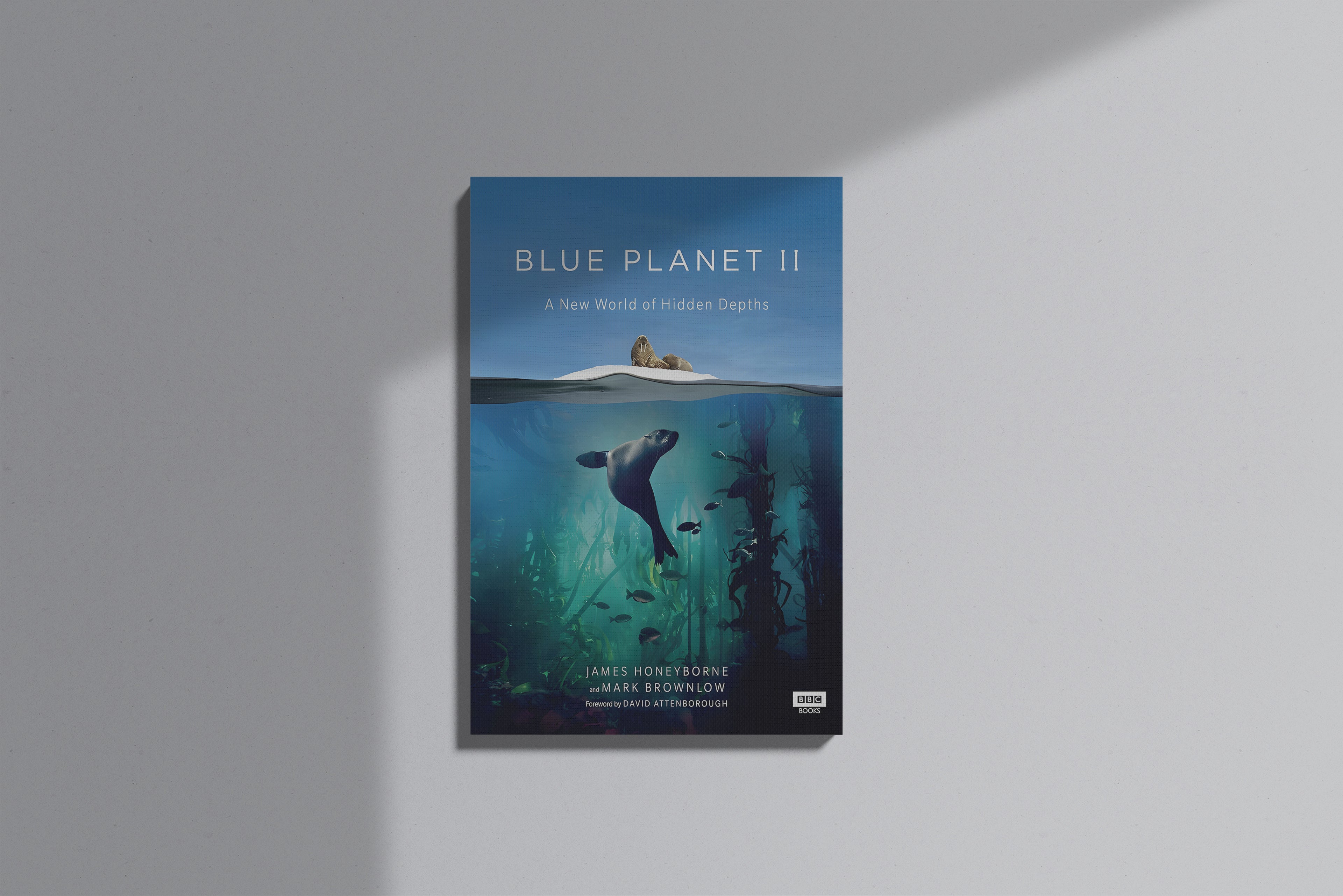 GeekCultcha Blue Planet II Canvas Painting, Sea Theme