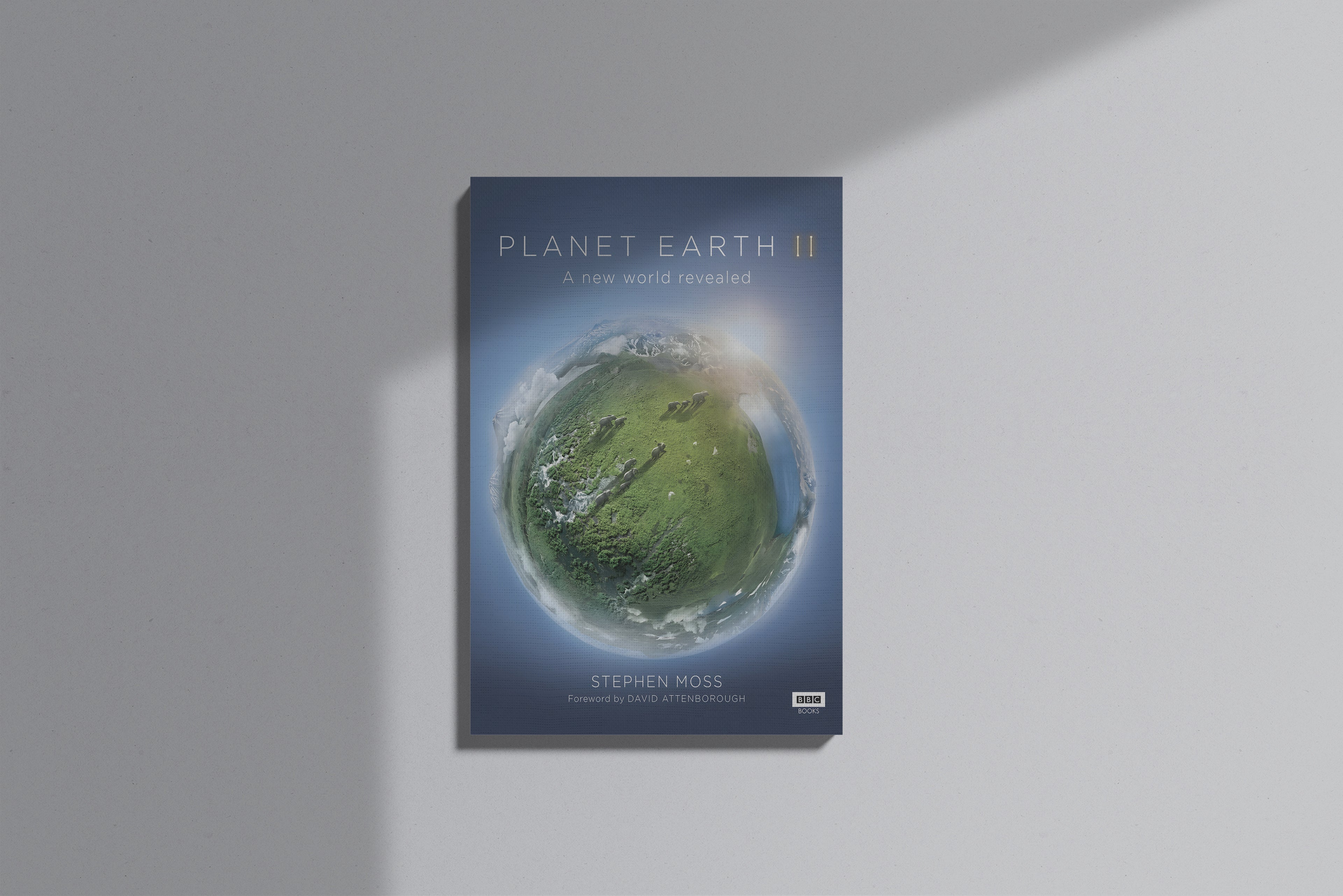 GeekCultcha Planet Earth II Premium Canvas Print