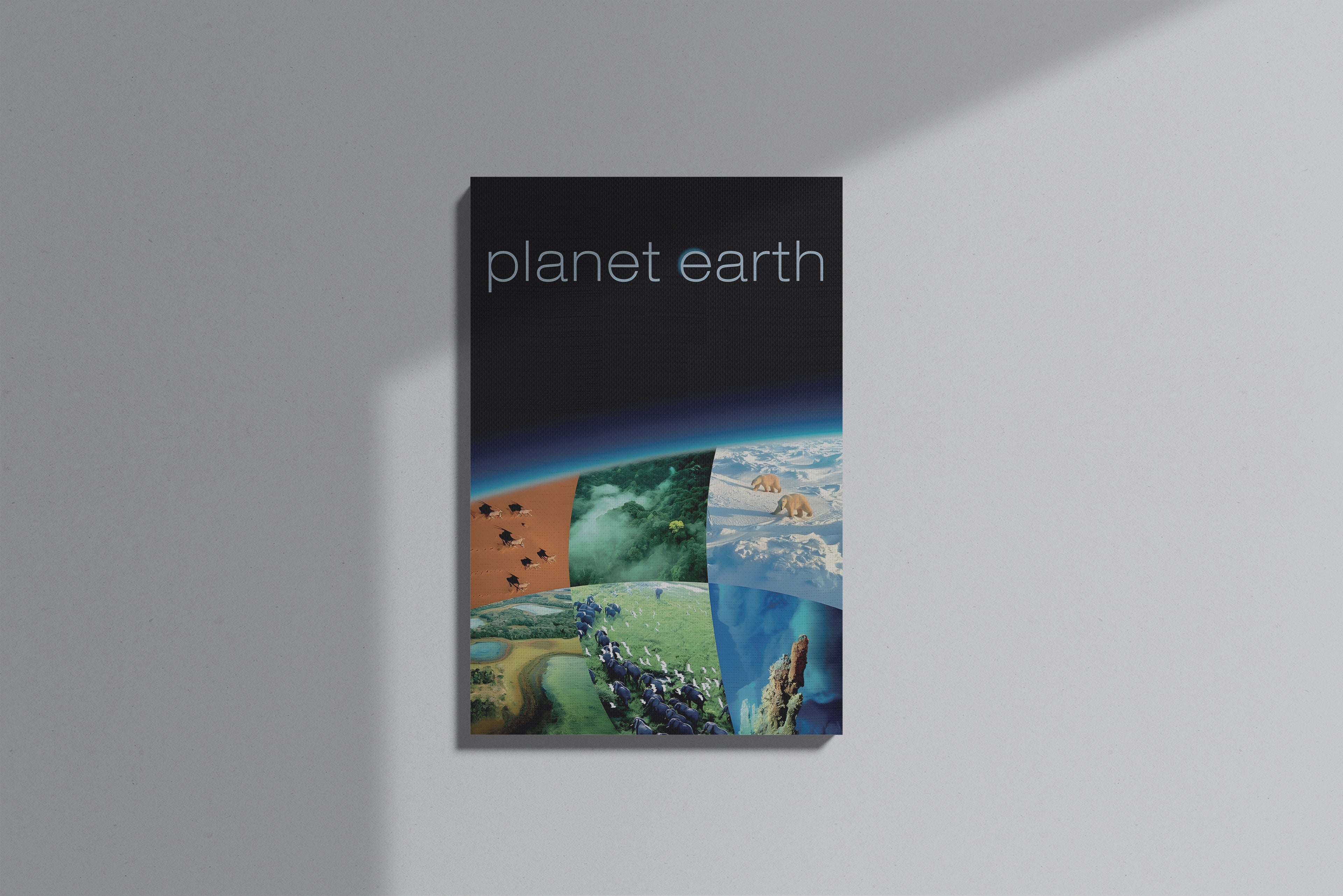 GeekCultcha Planet Earth Documentary Premium Canvas Print