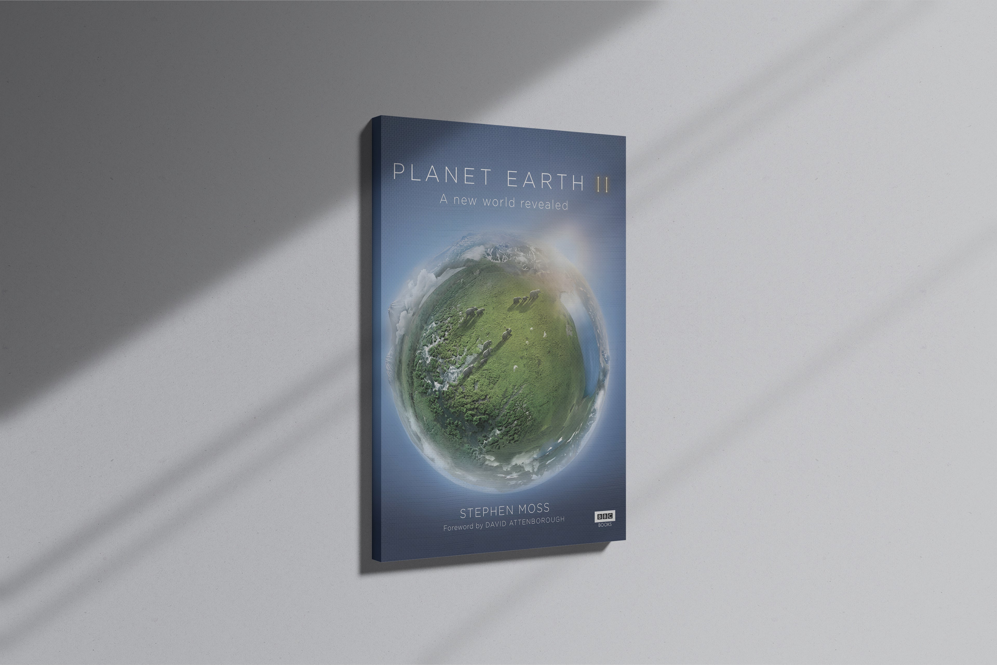 GeekCultcha Planet Earth II Premium Canvas Print